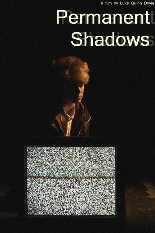 Permanent Shadows (2017) movie poster