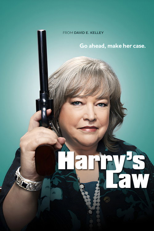 Harry's Law (2011) TV show poster