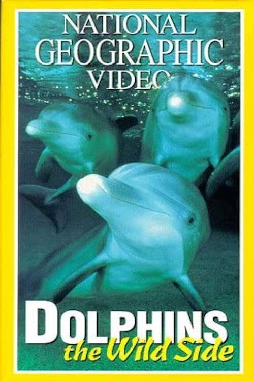 Dolphins: The Wild Side (1999) movie poster
