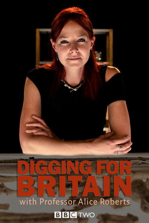 Digging for Britain (2010) TV show poster