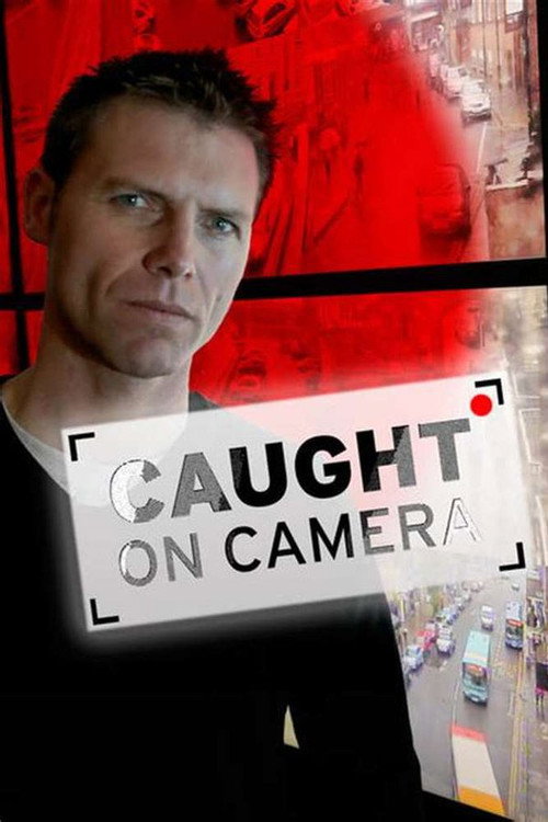 Criminals: Caught on Camera (2013) TV show poster