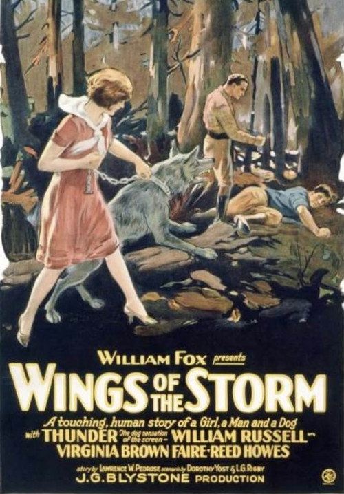 Wings of the Storm (1926) movie poster