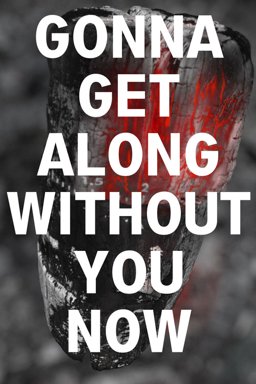 Gonna Get Along Without You Now (Burning Log) (2021) movie poster