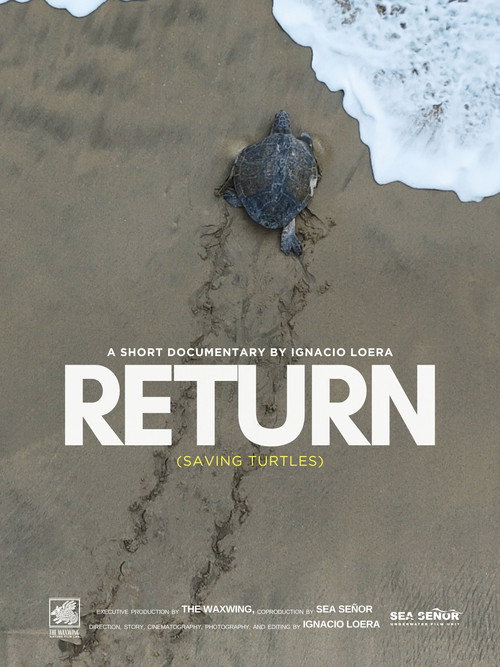Return: Saving Turtles (2026) movie poster
