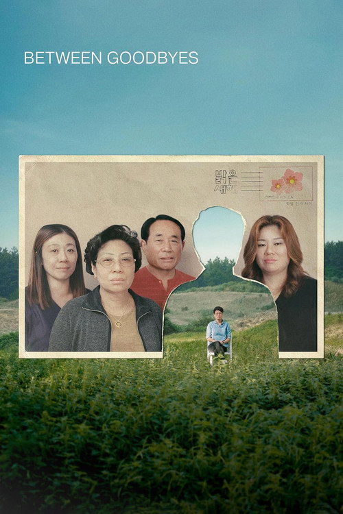 Between Goodbyes (2024) movie poster