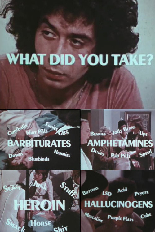 What Did You Take? (1971) movie poster