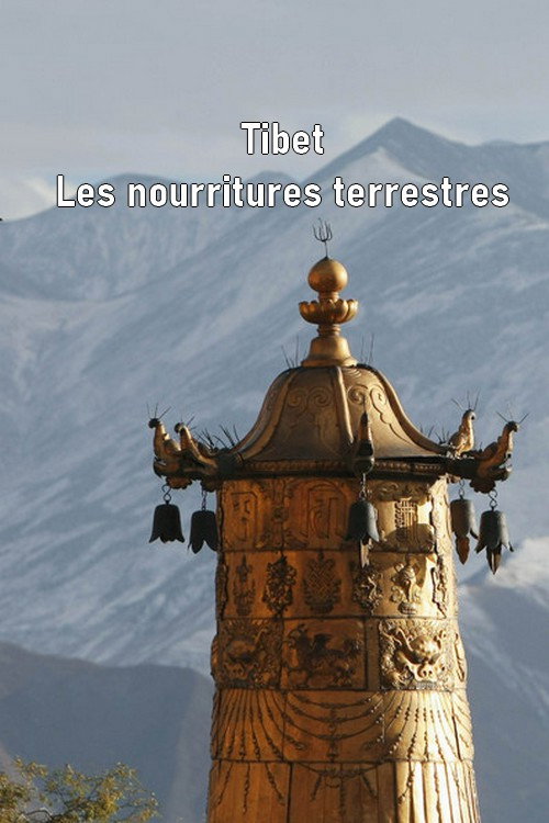 Tibet - Les nourritures terrestres (2011) movie poster