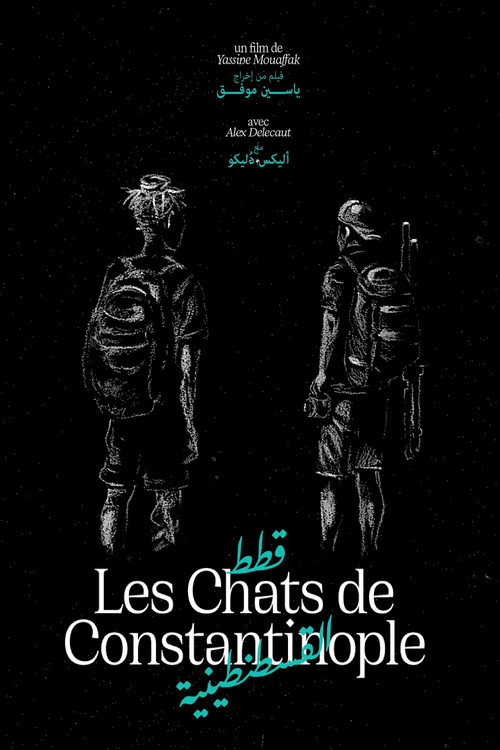 Les Chats de Constantinople (2025) movie poster