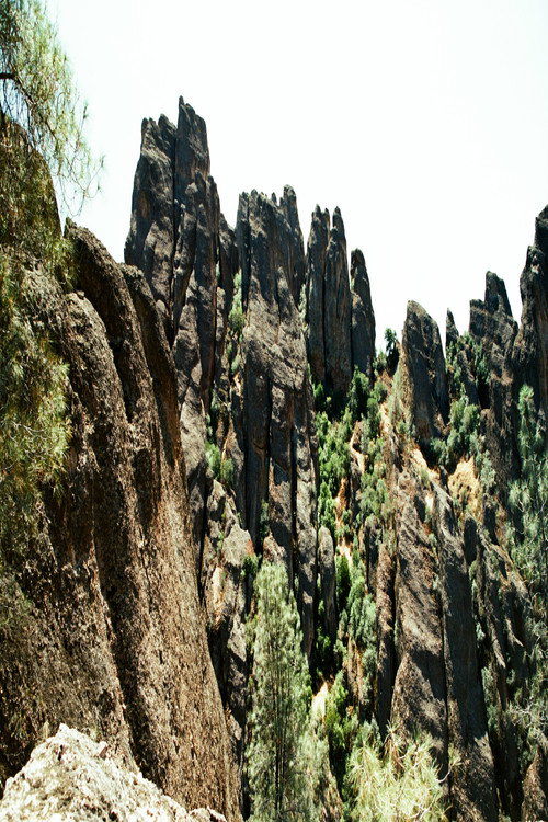 Pinnacles (2022) movie poster
