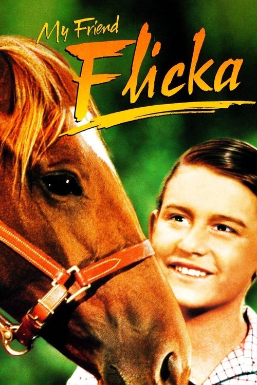 My Friend Flicka (1943) movie poster