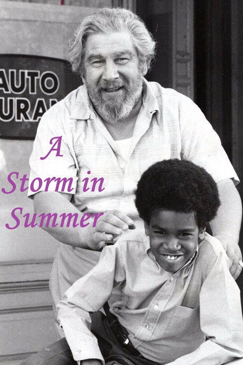 A Storm in Summer (1970) movie poster