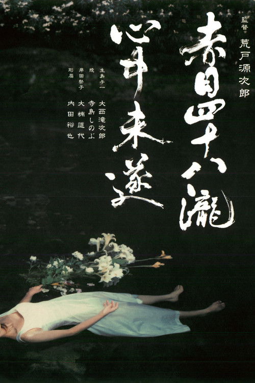 Akame 48 Waterfalls (2003) movie poster