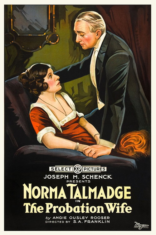 The Probation Wife (1919) movie poster