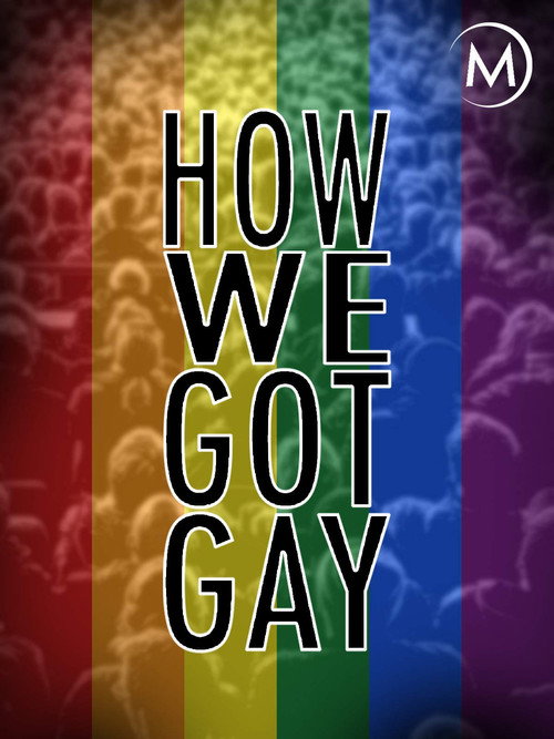 How We Got Gay (2013) movie poster