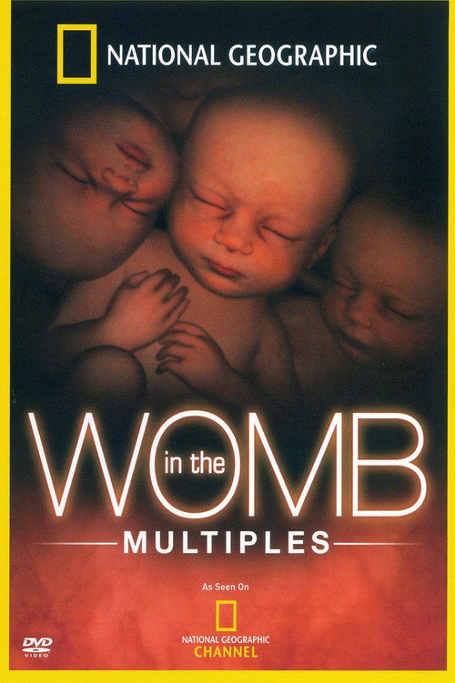 In the Womb: Multiples (2007) movie poster