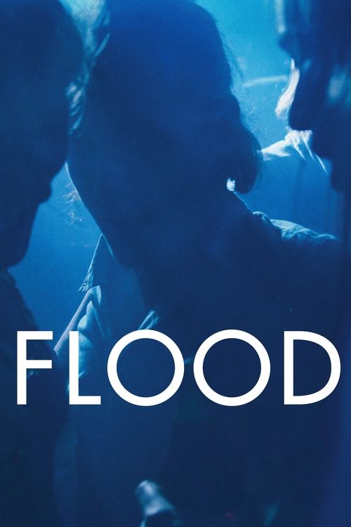 Flood (2020) movie poster