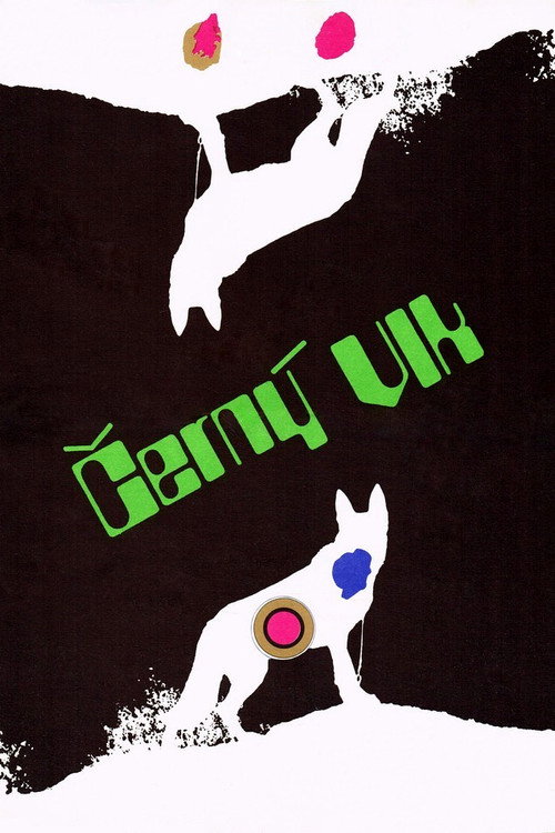 Black Wolf (1972) movie poster