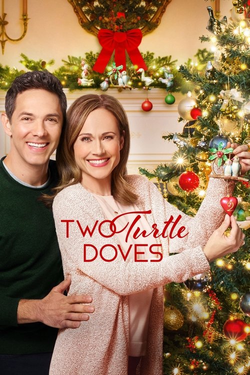 Two Turtle Doves (2019) movie poster
