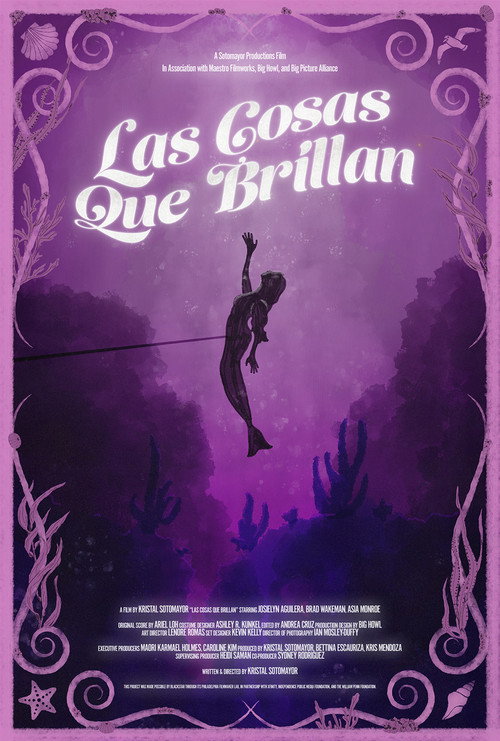 Las Cosas Que Brillan (2025) movie poster
