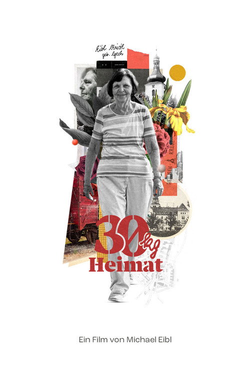30 Kilo Heimat movie poster
