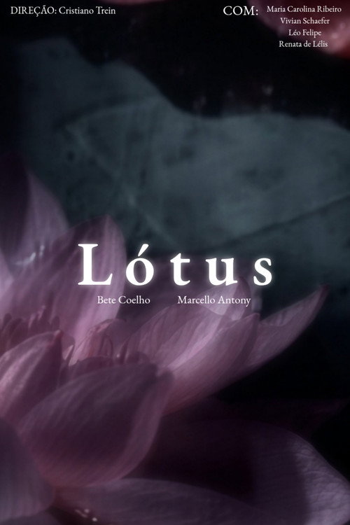 Lótus (2006) movie poster