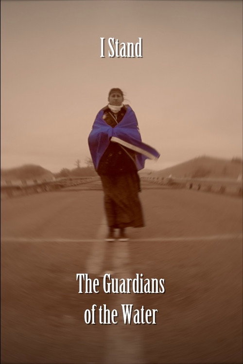 I Stand: The Guardians of the Water (2017) movie poster