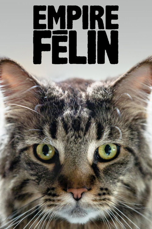 Cat Empire (2019) movie poster