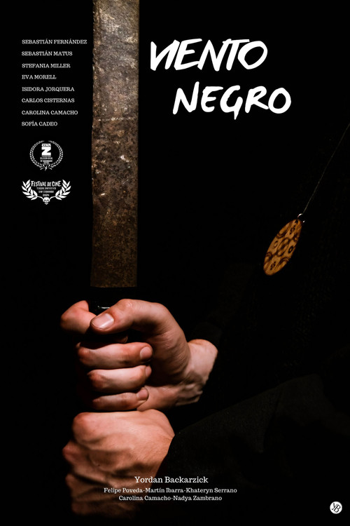 Viento Negro (2024) movie poster