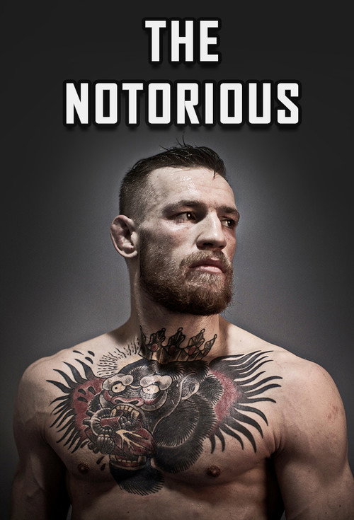 The Notorious (2015) TV show poster