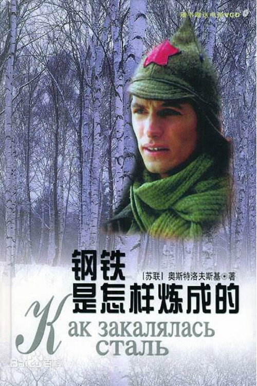钢铁是怎样炼成的 (2000) TV show poster