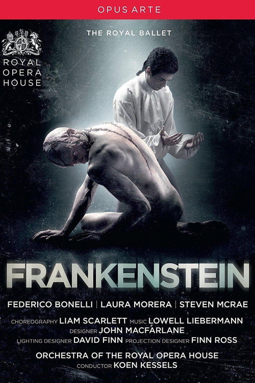 Frankenstein (2016) movie poster