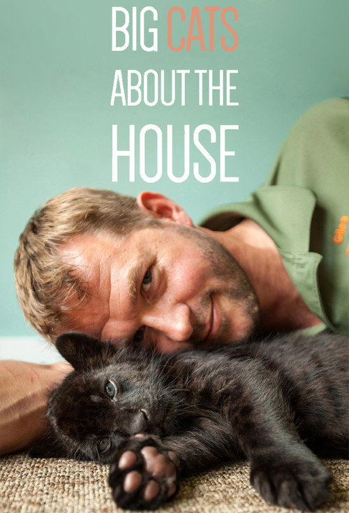 Big Cats About The House (2018) TV show poster
