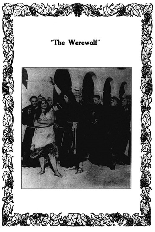 The Werewolf (1913) movie poster