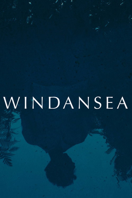 Windansea (2026) movie poster