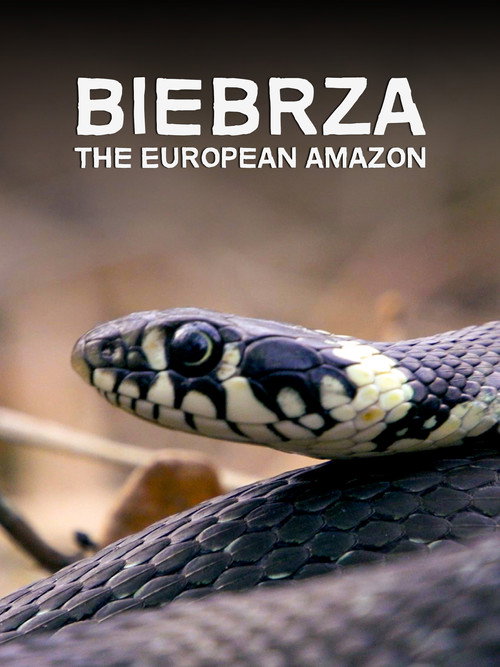 Biebrza: The European Amazon (2016) movie poster