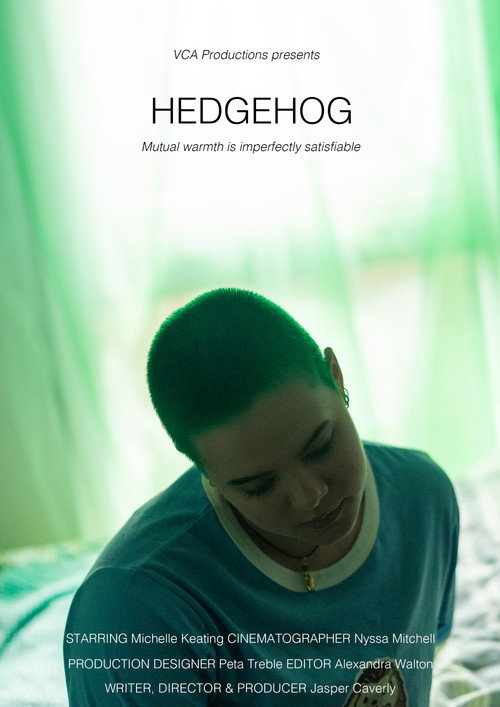 Hedgehog (2024) movie poster