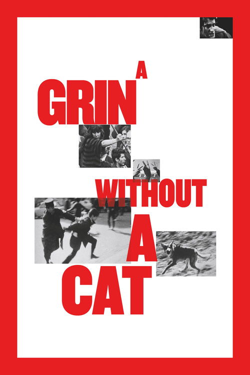 A Grin Without a Cat (1977) movie poster