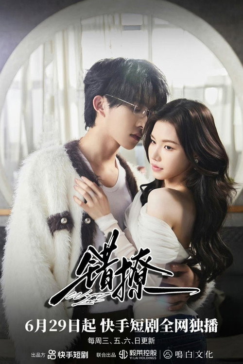 Wrong Love (2024) TV show poster