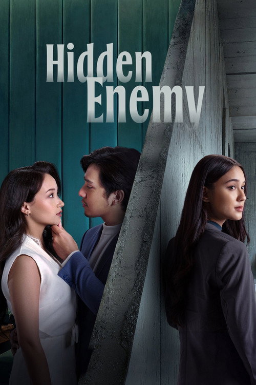 Hidden Enemy (2026) movie poster