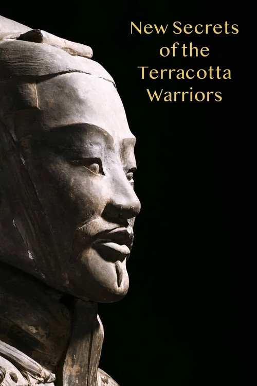 New Secrets of the Terracotta Warriors (2013) movie poster
