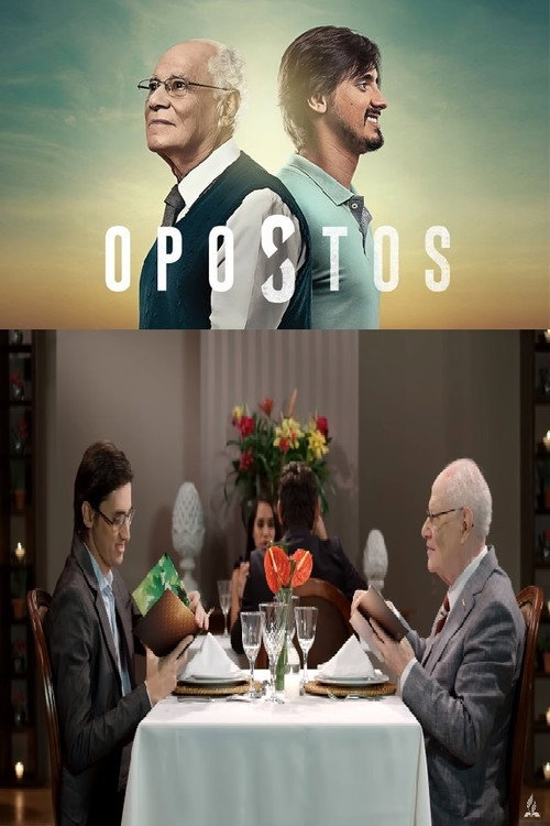 Opostos (2017) movie poster