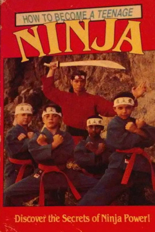 How to Become a Teenage Ninja (1990) movie poster