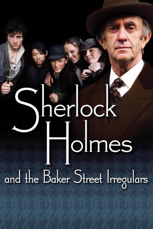 Sherlock Holmes and the Baker Street Irregulars (2007) TV show poster