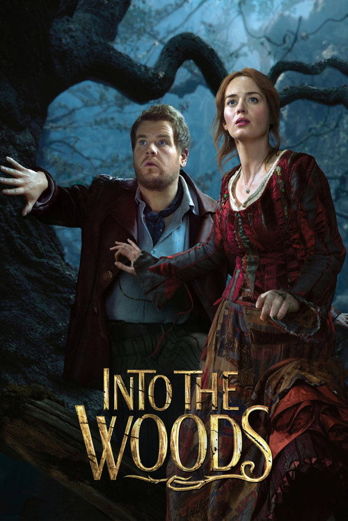 Into the Woods (2014) movie poster