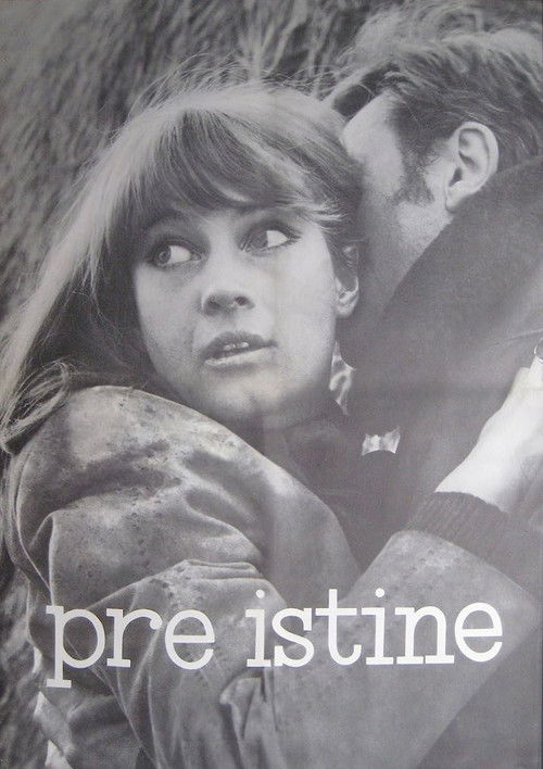 Before the Truth (1968) movie poster