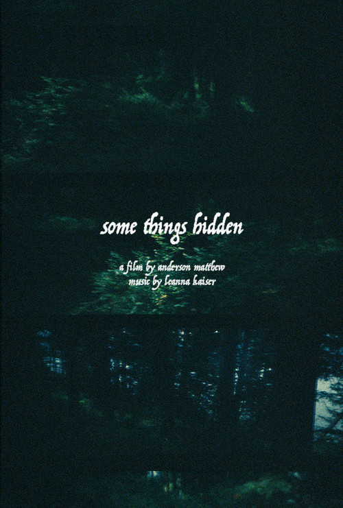 Some Things Hidden (2021) movie poster