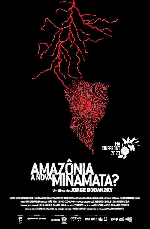 Amazônia, a Nova Minamata? (2022) movie poster