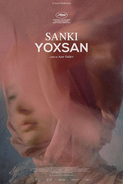 Sanki Yoxsan (2024) movie poster
