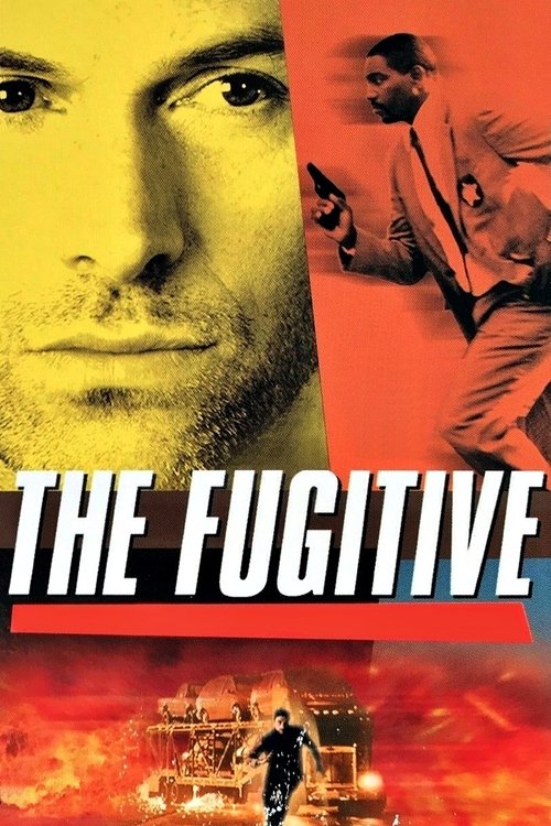 The Fugitive (2000) TV show poster