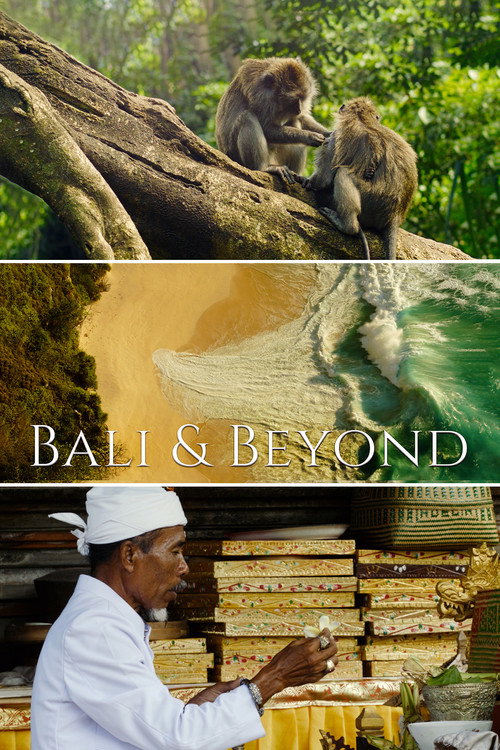 Bali & Beyond (2019) movie poster